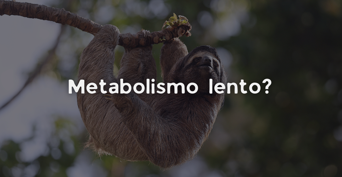O seu corpo está em “modo de espera”? Conheça os sinais de um metabolismo lento 